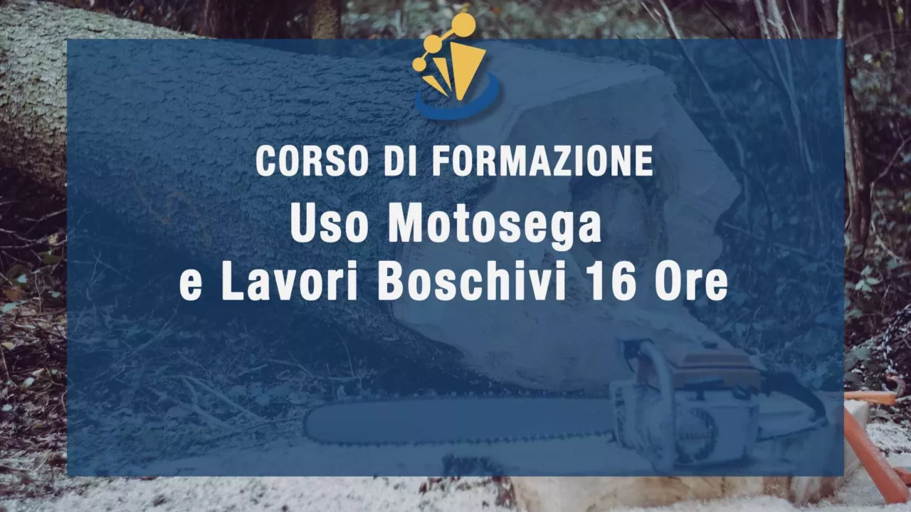 Formazione Uso Motosega e lavori boschivi