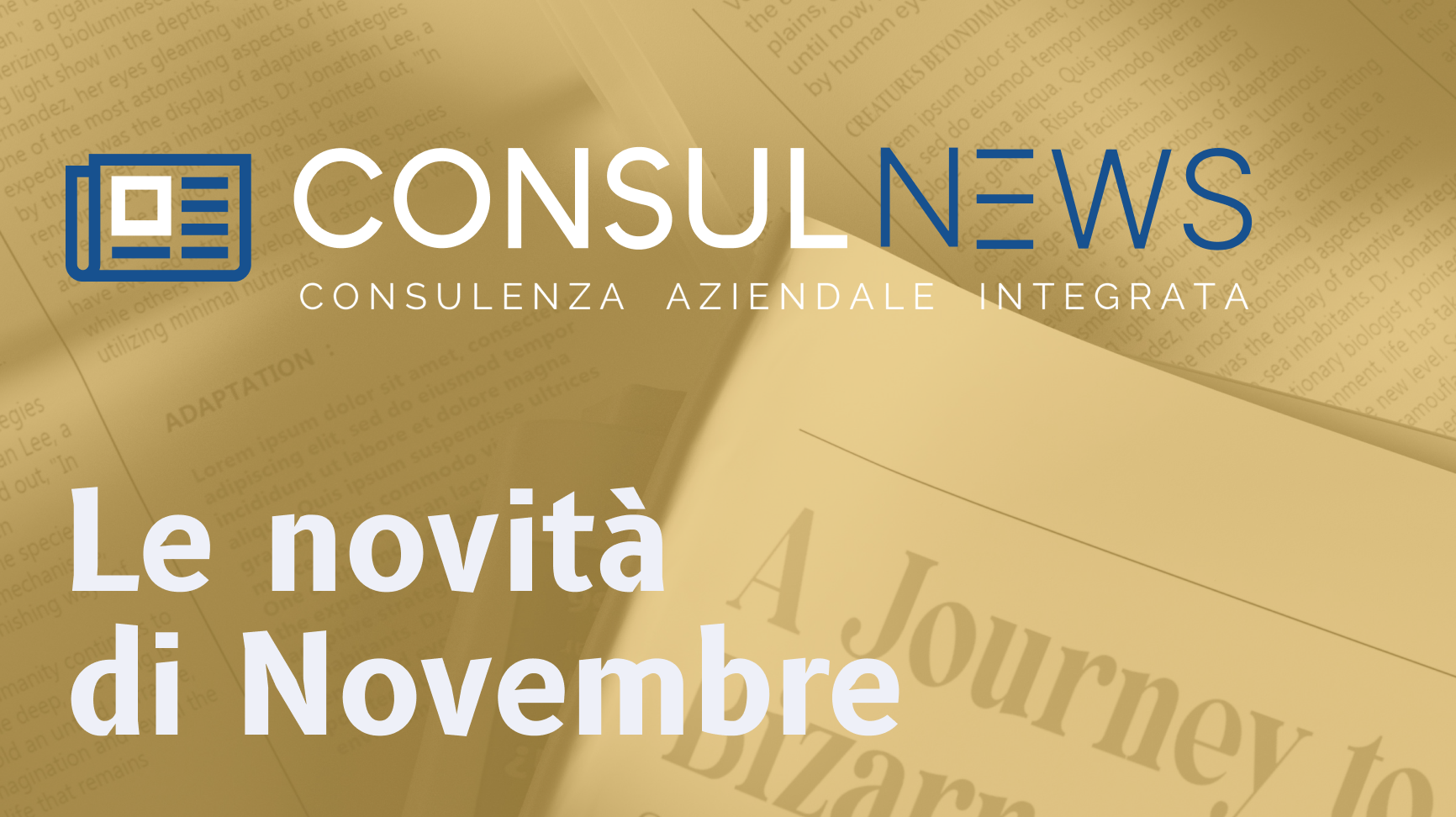 Consulnews banner Le novità di Novembre